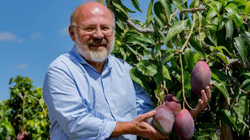 O professor que aprendeu a plantar – e virou o maior exportador de mangas do Brasil