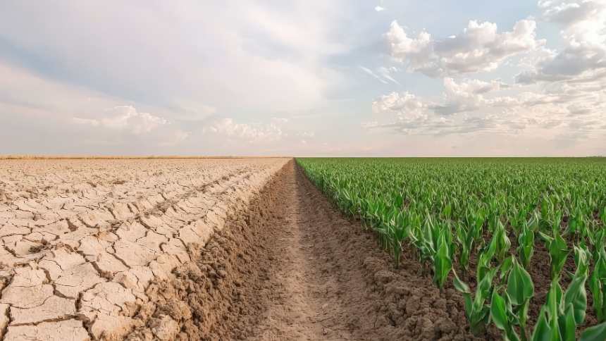 ARTIGO: Reestruturação na gestão de riscos no agro passa por Fundo de Catástrofe