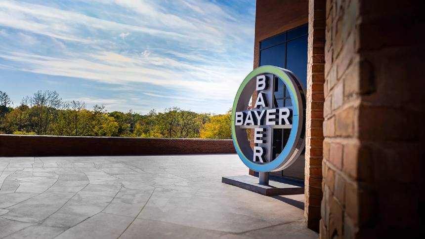 Bayer projeta luz no fim do túnel para… 2026. Antes disso, mais dias difíceis