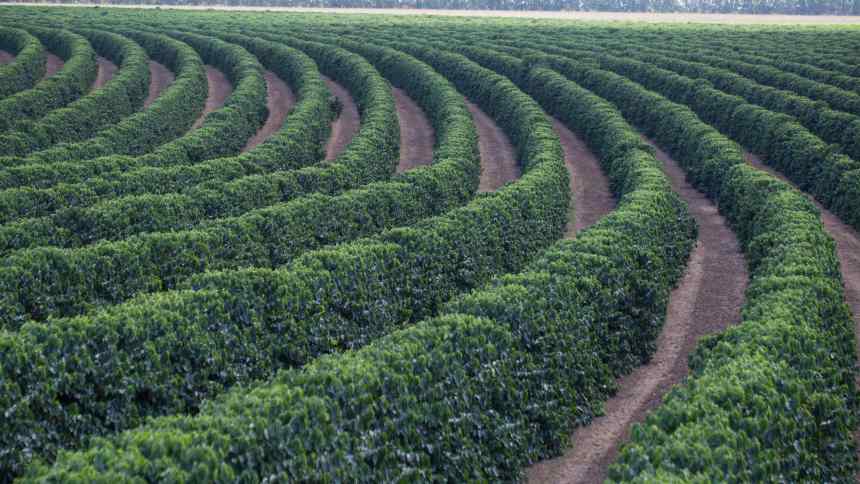 A alta no preço dos alimentos e o papel do produtor rural