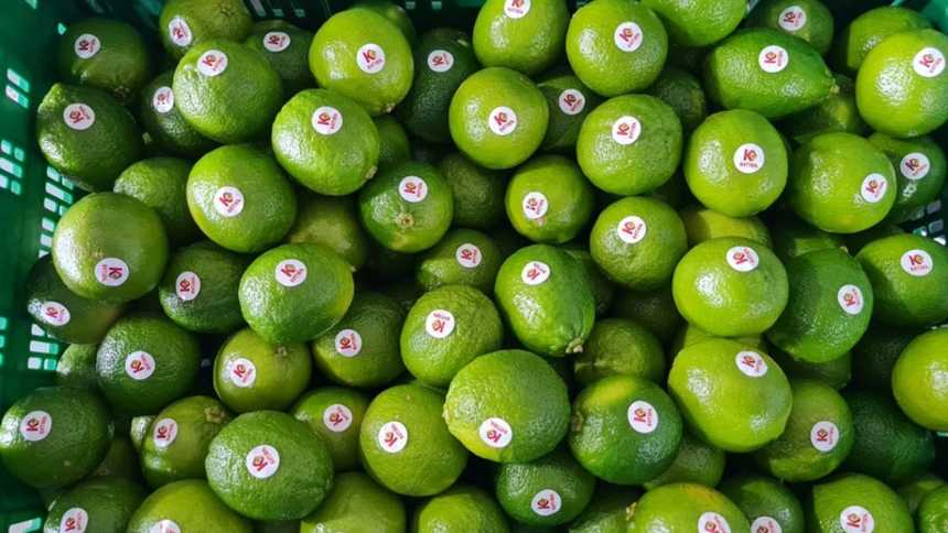 Com La Niña, Katira teve menos limões, mas conseguiu produzir uma boa limonada