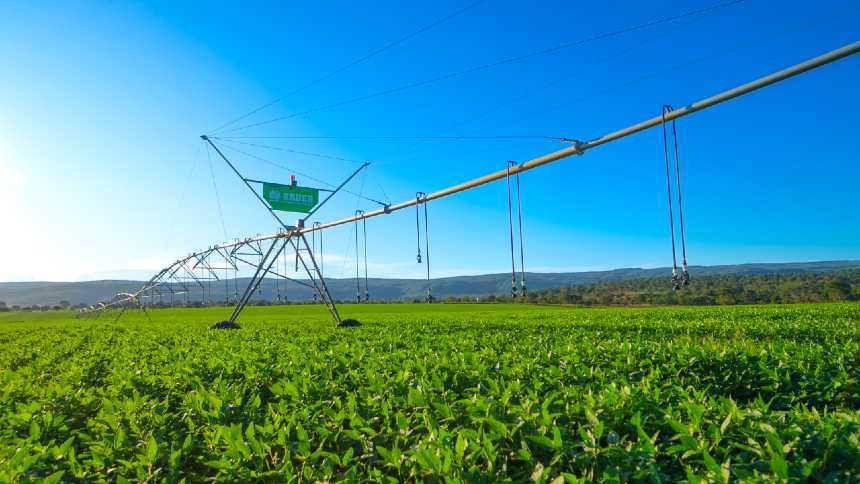 Bauer, de irrigação, aposta nos “nêutrons cósmicos” e no barter para manter crescimento em 2025