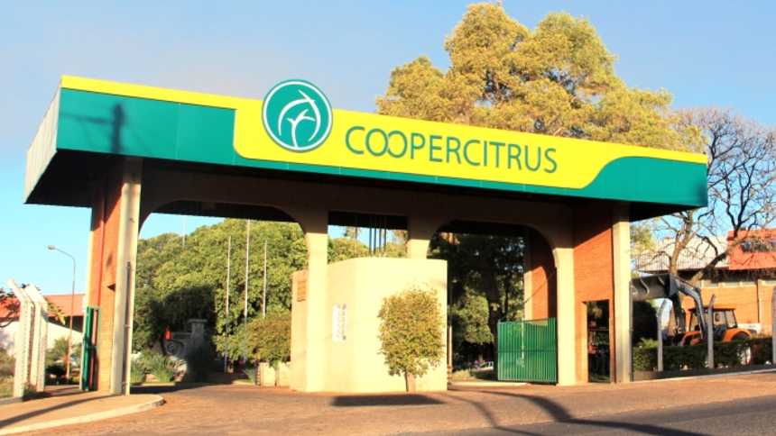 Na otimista Coopercitrus, crescimento supera 20% no ano e há crédito pela metade da Selic. Qual a receita?