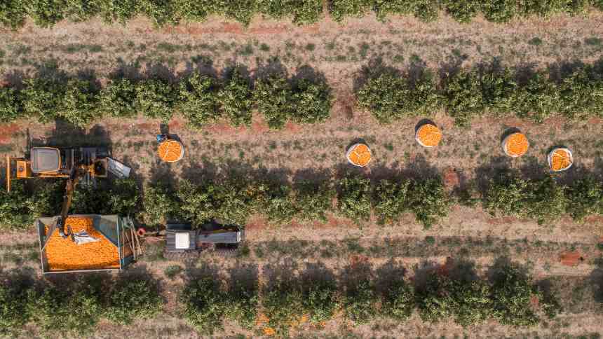 Com quase R$ 2 bi captados para ESG, Citrosuco projeta até navios movidos a biocombustível