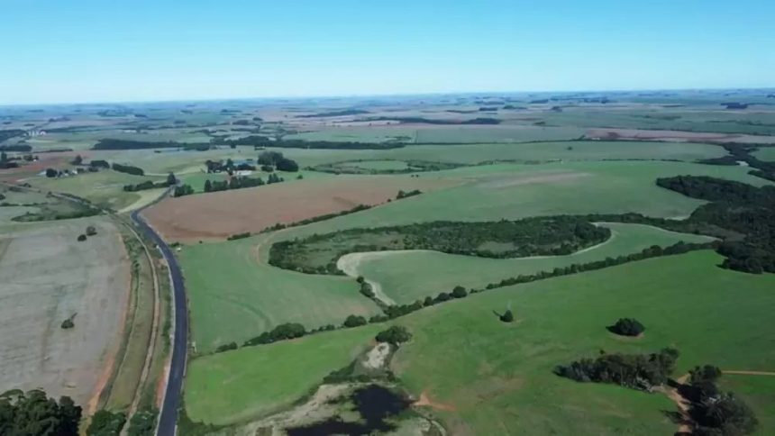 Cooperativas vão investir R$ 1,2 bilhão para produzir biodiesel no Rio Grande do Sul