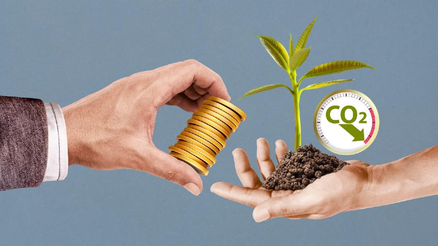 Microsoft anuncia que vai comprar 60 mil créditos da "safra de carbono" da Indigo Ag