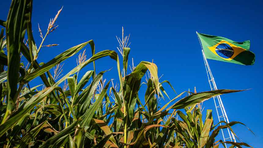 ARTIGO: O Brasil precisa ligar a ciência ao agro. E fazer disso uma estratégia de nação