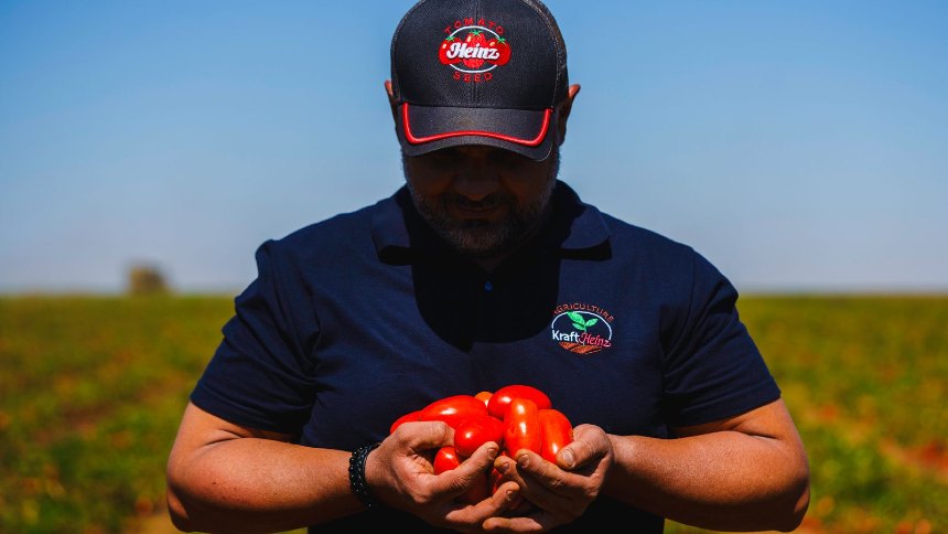 A "lavoura digital" brasileira onde começa o ketchup (e muito mais) do futuro da Kraft Heinz