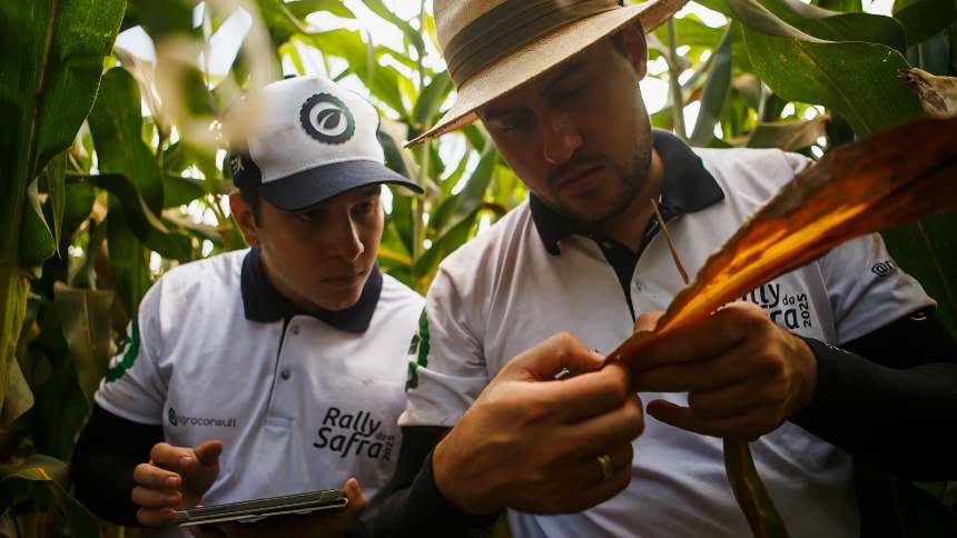 “Supersafrinha” e gripe aviária devem pressionar preço e favorecer exportação de milho, aponta Agroconsult