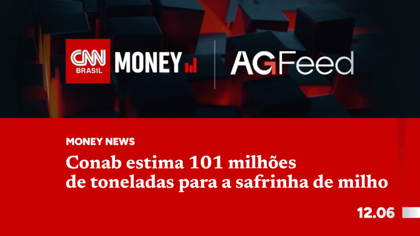 Conab estima 101 milhões de toneladas para a safrinha de milho