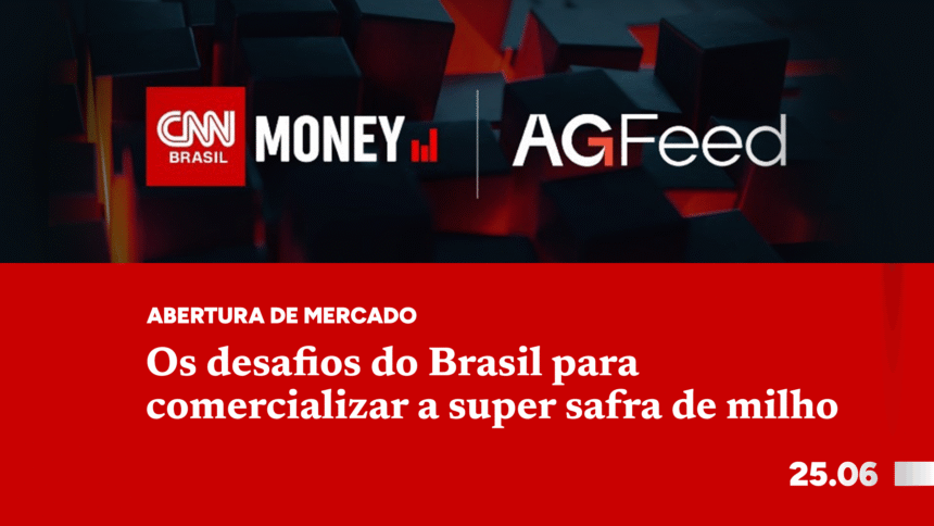 Os desafios do Brasil para comercializar a super safra de milho