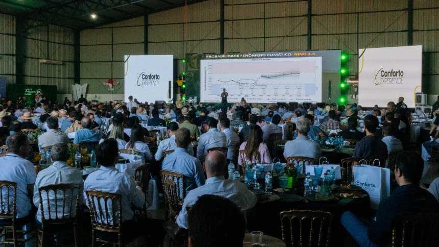 O dia de R$ 350 milhões na Fazenda Conforto, o maior confinamento bovino do Brasil