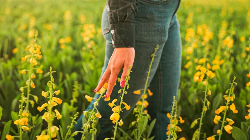 ORÍGEO e Bunge revelam em nova websérie como a agricultura regenerativa semeia o futuro