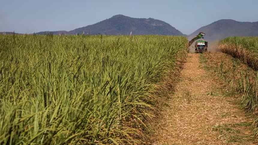 ARTIGO: Descarbonização no agronegócio, um esforço coletivo para construir um futuro verde