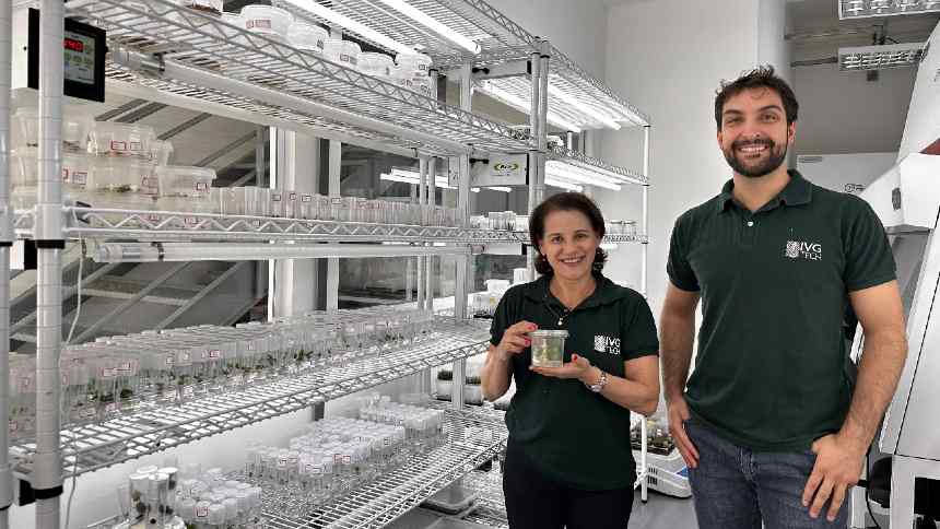 Da bancada ao campo, IVGTech aposta em biotecnologia para suprir demanda por reflorestamento
