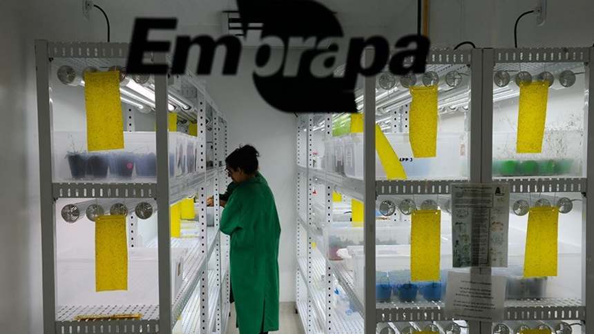 EXCLUSIVO: Como funcionará o Fundo de Agricultura Sustentável, a aposta de R$ 300 mi (por enquanto) na pesquisa agropecuária