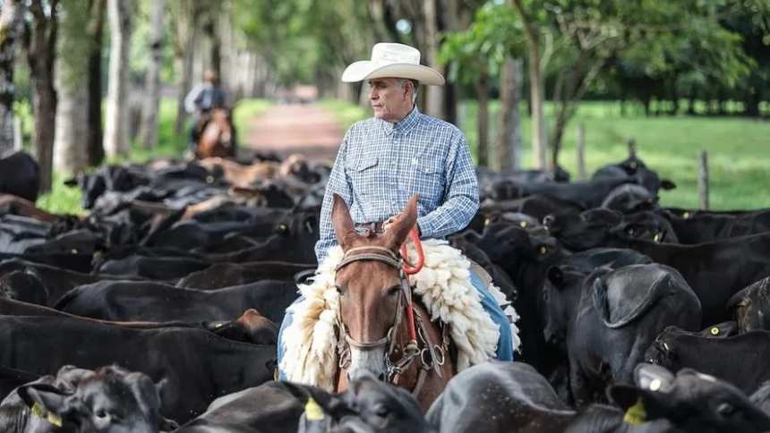 A “pecuária de princípios” de Mauro Lucio Costa, a voz da produção sustentável na terra da COP 30