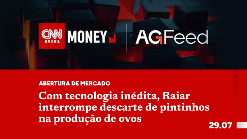 Com tecnologia inédita, Raiar interrompe descarte de pintinhos na produção de ovos