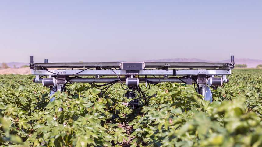 Amazon no agro? Robô agrícola com apoio da Big Tech já trabalha na Califórnia e tem planos de chegar ao Brasil