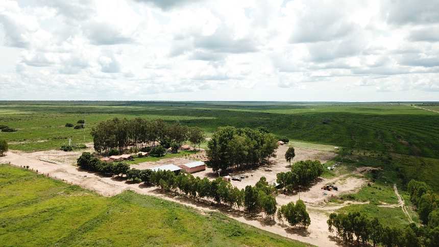 BrasilAgro reforça perfil vendedor e negocia fazenda na Bahia por R$ 141,4 milhões