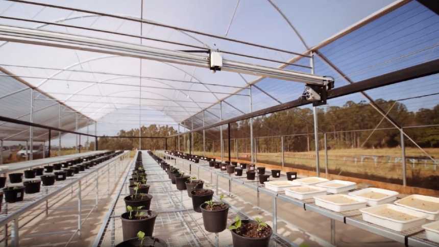 Smart Agri e Smart Sensing lançam spin off para digitalizar casas de vegetação