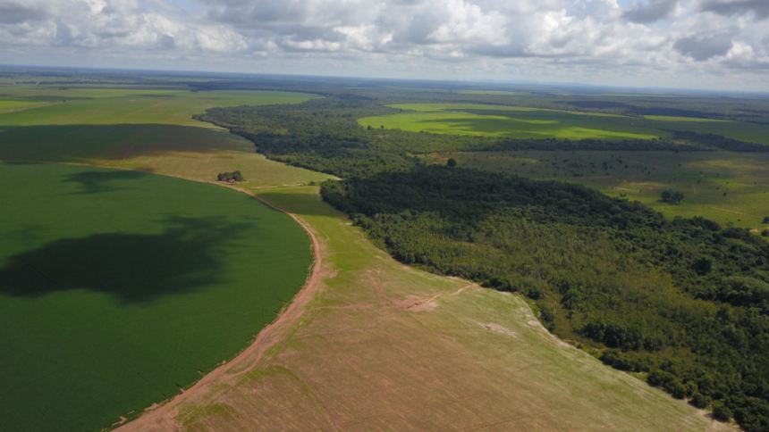 Syngenta e Itaú BBA “exportam” sustentabilidade e levam programa Reverte ao Paraguai