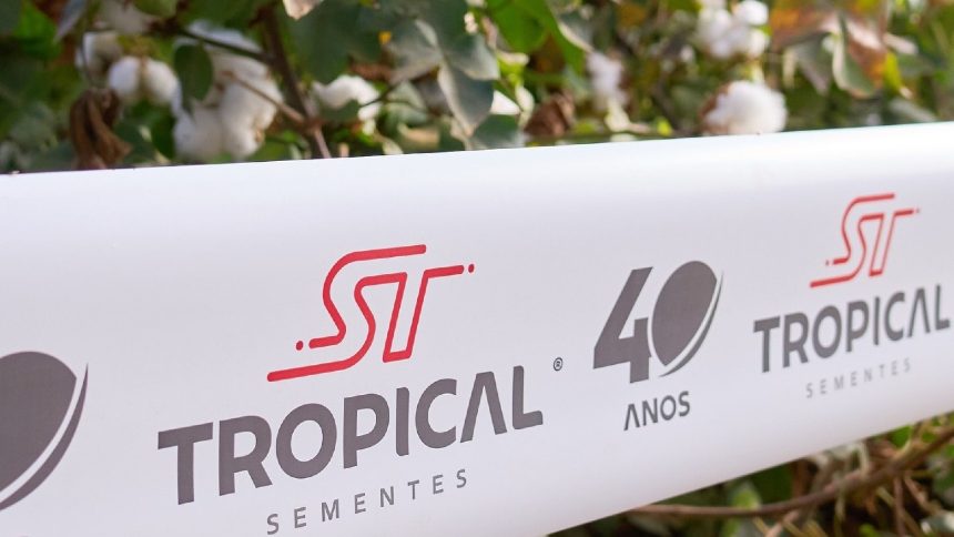 Tropical Sementes mira expansão nacional e projeta dobrar participação em soja e algodão até 2028