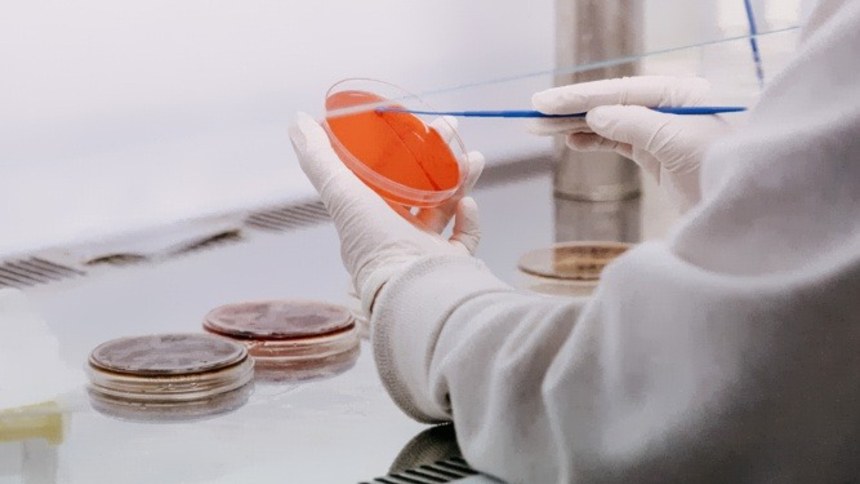 Nitro e Symbiomics unem forças para desenvolver “nova geração” de biológicos