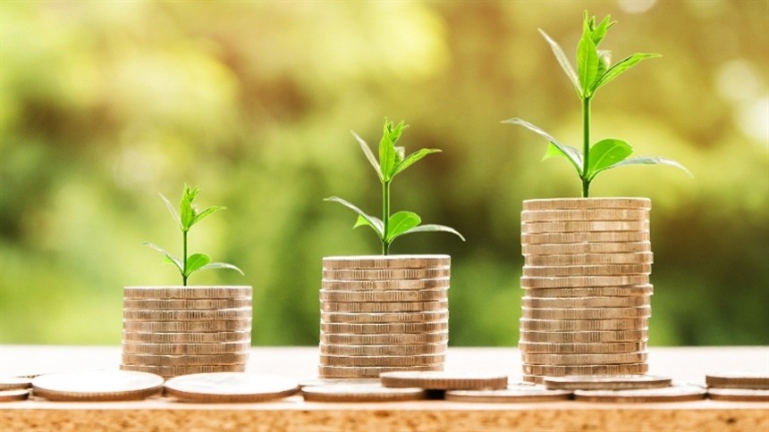 CRA "verde" de US$ 60 milhões une SIM, Opea e Traive para financiar soja livre de desmatamento