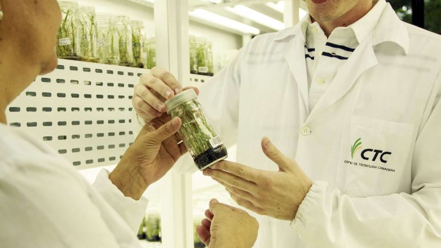 CTC tem receita recorde e lucra quase R$ 50 milhões no primeiro trimestre do "ano ruim" da cana