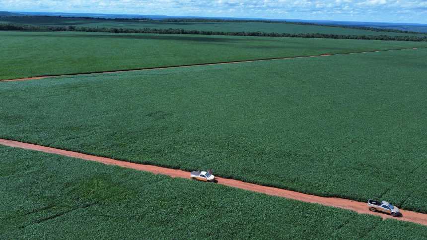 BF Terra opta por não plantar para colher “safra” de mais de 1 milhão de créditos de carbono