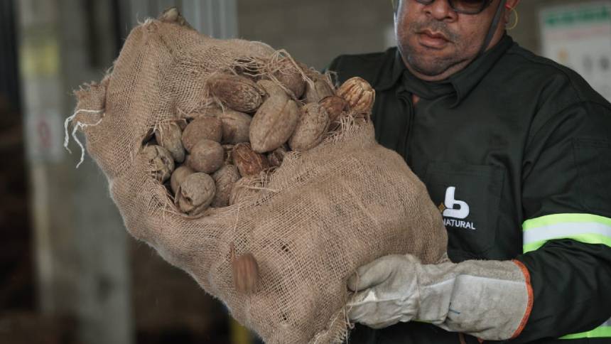 Binatural investe R$ 100 milhões (e usa até coco nas caldeiras) para atender aumento da demanda por biodiesel