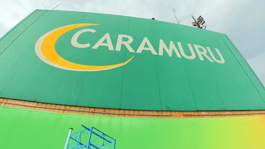Girassol e biodiesel fortalecem resultados da Caramuru, que amplia diversificação de seus negócios