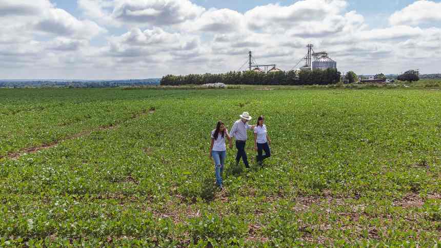 Um ano depois, projeto modelo de agricultura regenerativa mantém produtividade e colhe safra com menos carbono