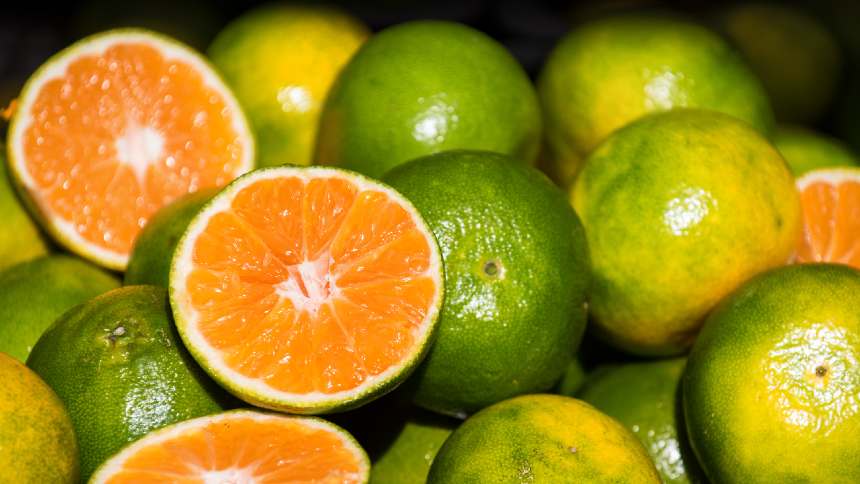 O suco escapou, mas, com subprodutos ainda no alvo, citricultura pode ter prejuízo de mais de R$ 1,5 bi com tarifaço