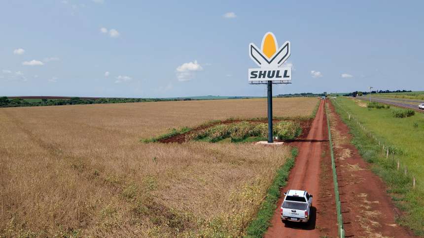 Shull aproveita brecha, cresce 123% em canais de venda e atinge R$ 180 milhões em receita