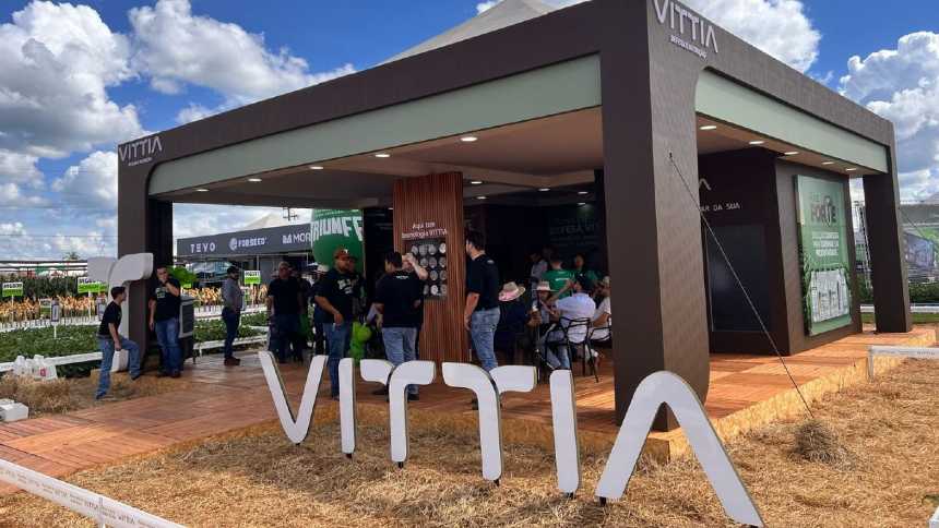 Vittia amplia prejuízo mesmo com receita estável, mas acredita que resultados vão melhorar