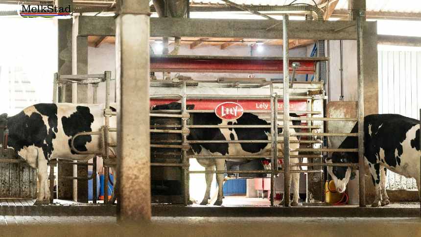 Com sede de leite na América Latina, holandesa Lely instala base e planeja montagem de robôs no Brasil