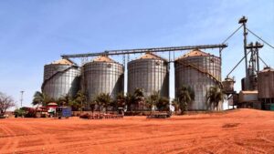 Com nova fábrica, NetZero promete escalar produção de biochar a partir ...