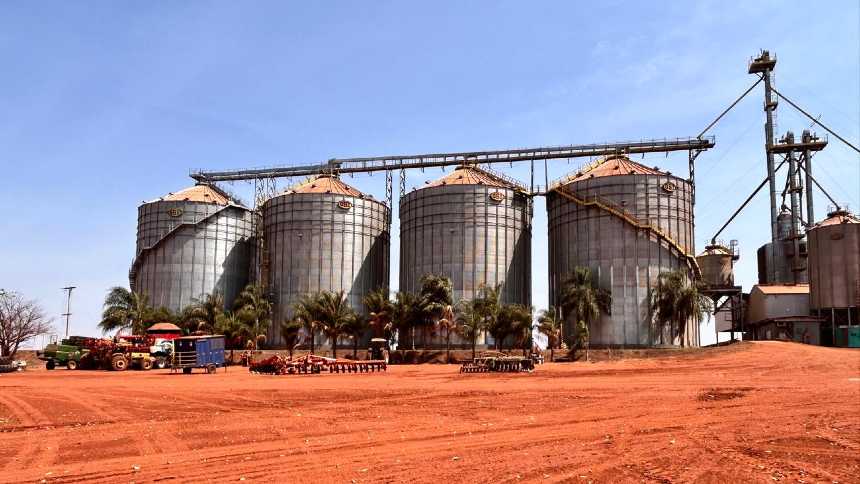 Com nova fábrica, NetZero promete escalar produção de biochar a partir da cana