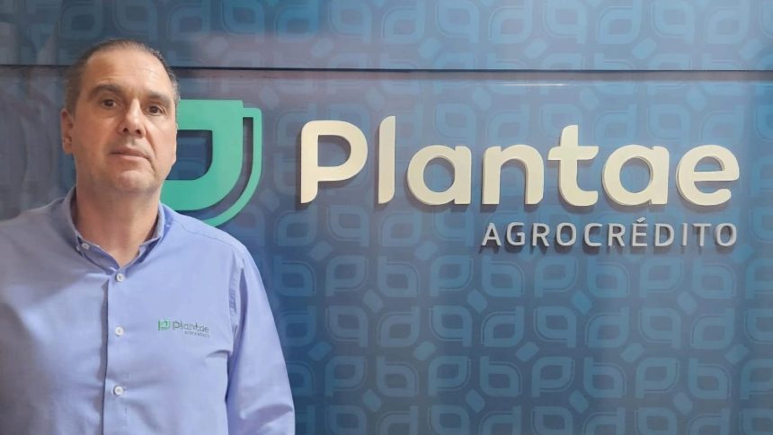 Plantae sobe régua, “pereniza” clientes e reduz exposição a grãos para retomar crescimento