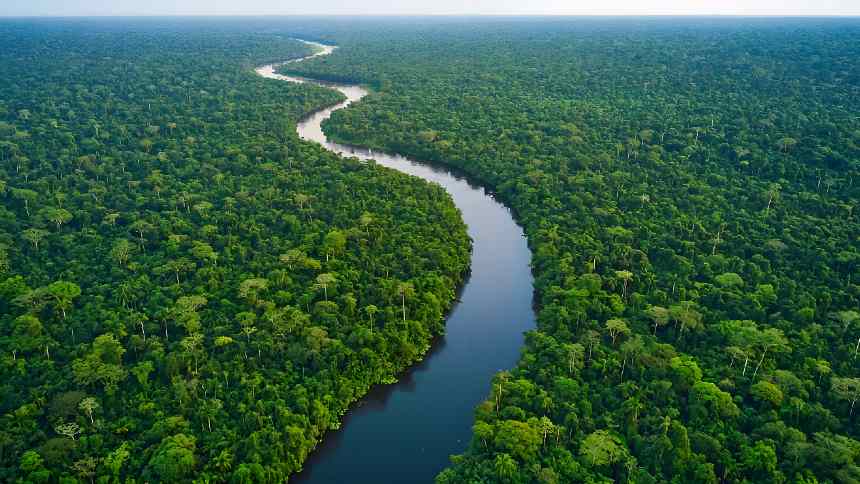 Com US$ 1 bi, Brasil dá a largada em fundo para conservar florestas ao redor do mundo. Os outros vão aderir?
