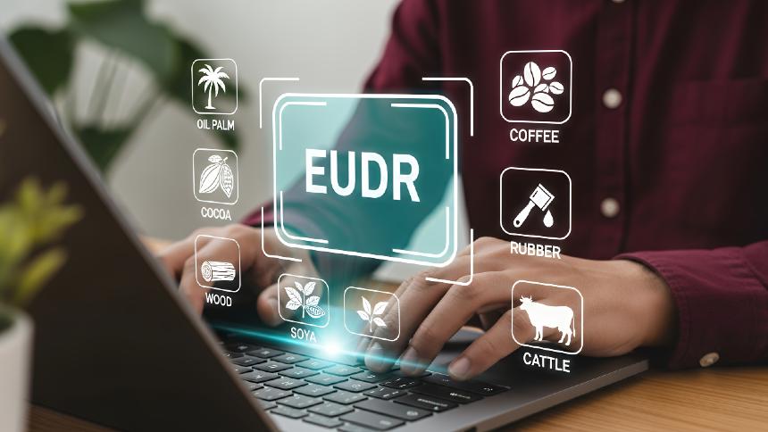 De olho no calendário, SGS prepara “certificação EUDR” para produtores brasileiros