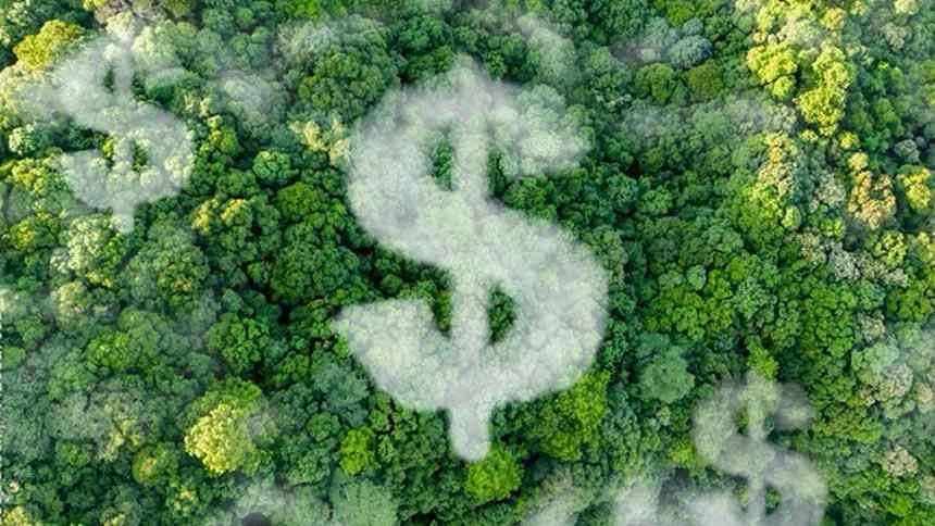 Serviço Florestal prepara a primeira emissão de “novo CRA” e planeja levá-lo ao mercado financeiro