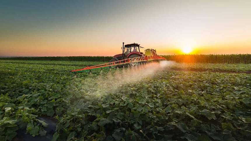 Justiça proíbe uso de herbicida 2,4-D em lavouras de soja e milho no RS