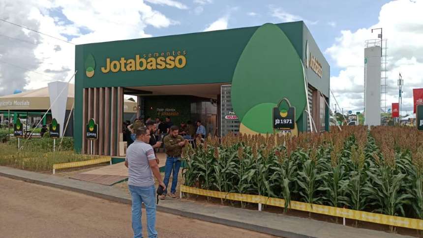 Para onde segue a Jotabasso? Novo CEO fala em continuidade, mas com os olhos até no exterior