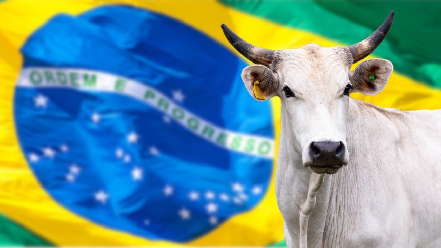 A real importância do agronegócio na economia