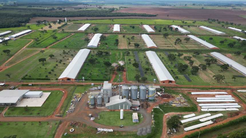 De grão em grão, Rio Bravo começa a encher o papo… com a Raiar Orgânicos