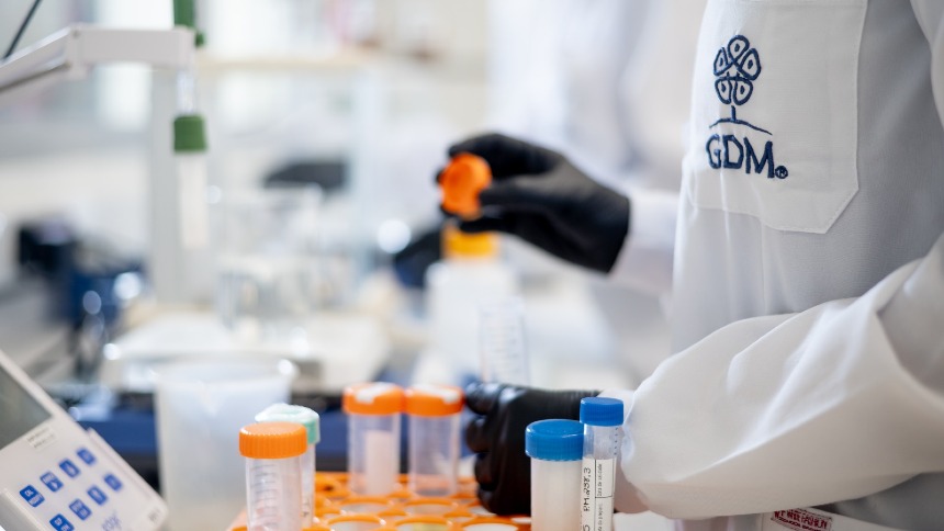 GDM busca no milho “o mesmo que a soja” e aposta no crescimento do etanol