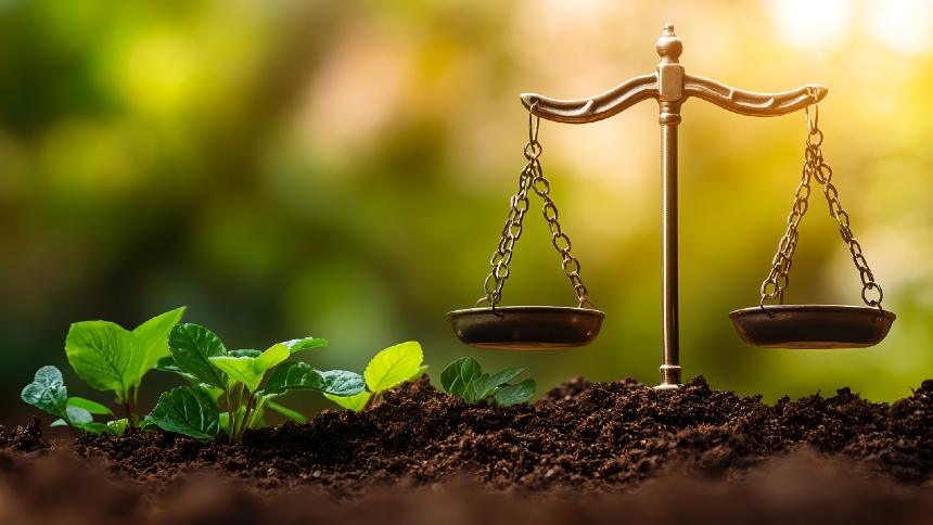 ARTIGO - Agronegócio aprofunda discussão sobre crédito e recuperação judicial